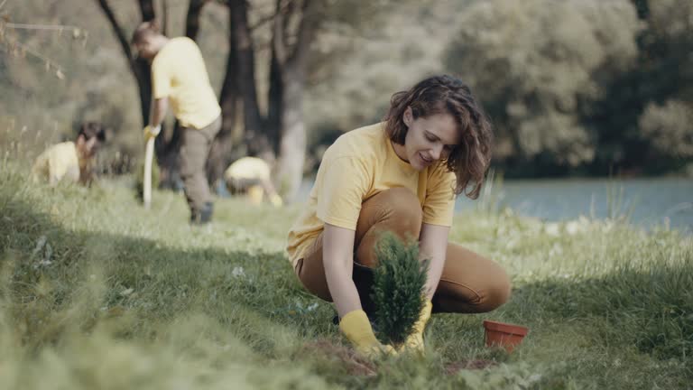 Best Pest Control for Lawns  in Modesto, CA
